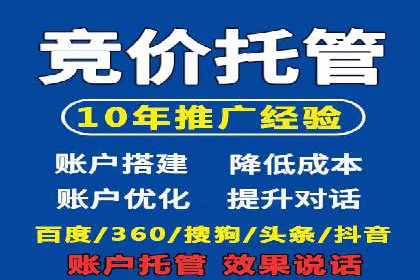 SEM精准广告投放的五大成功案例